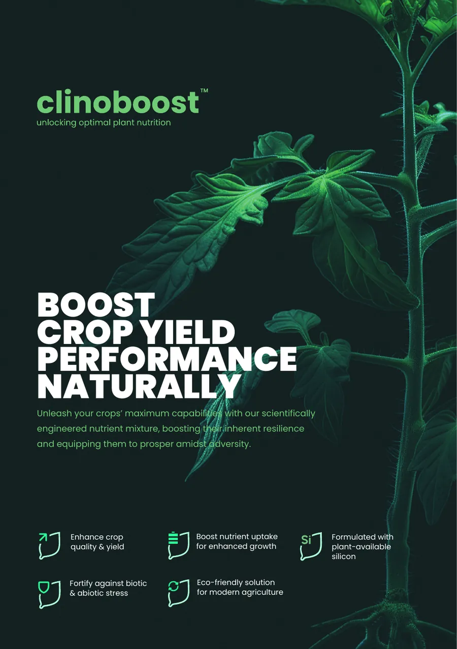 The Clinoboost brochure cover: boost crop yield performance naturally