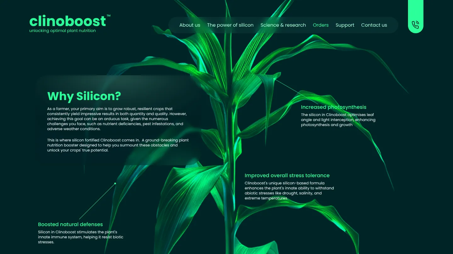 The power of silicon page, with a maize plant and the benefits around it